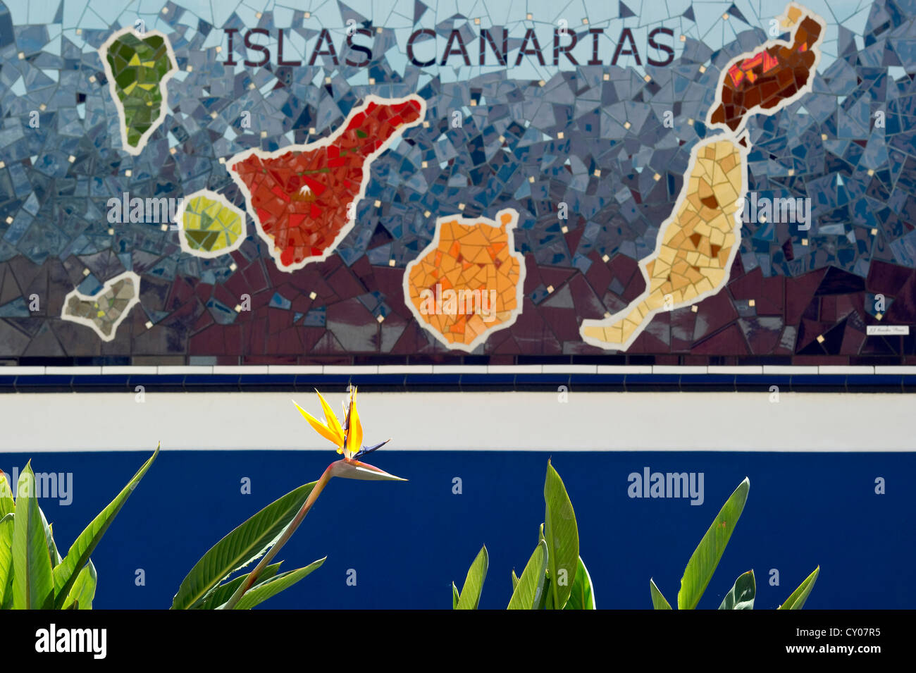 Mosaïque Des Canaries Et La Floraison Oiseau Du Paradis