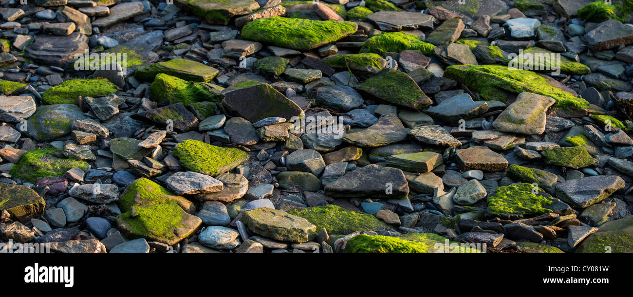 Des rochers couverts de mousse sur la plage, Mizen Head, plus au sud-ouest de l'Irlande, dans le comté de Cork, République d'Irlande, Europe Banque D'Images