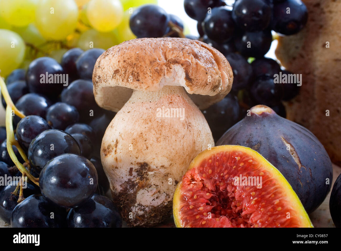 Fruits et champignons porcini dans une composition d'automne Banque D'Images
