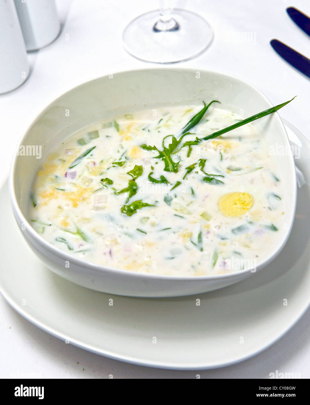 Soupe de légumes froide russe sur le yogourt (acide-base) de lait - okroshka Banque D'Images