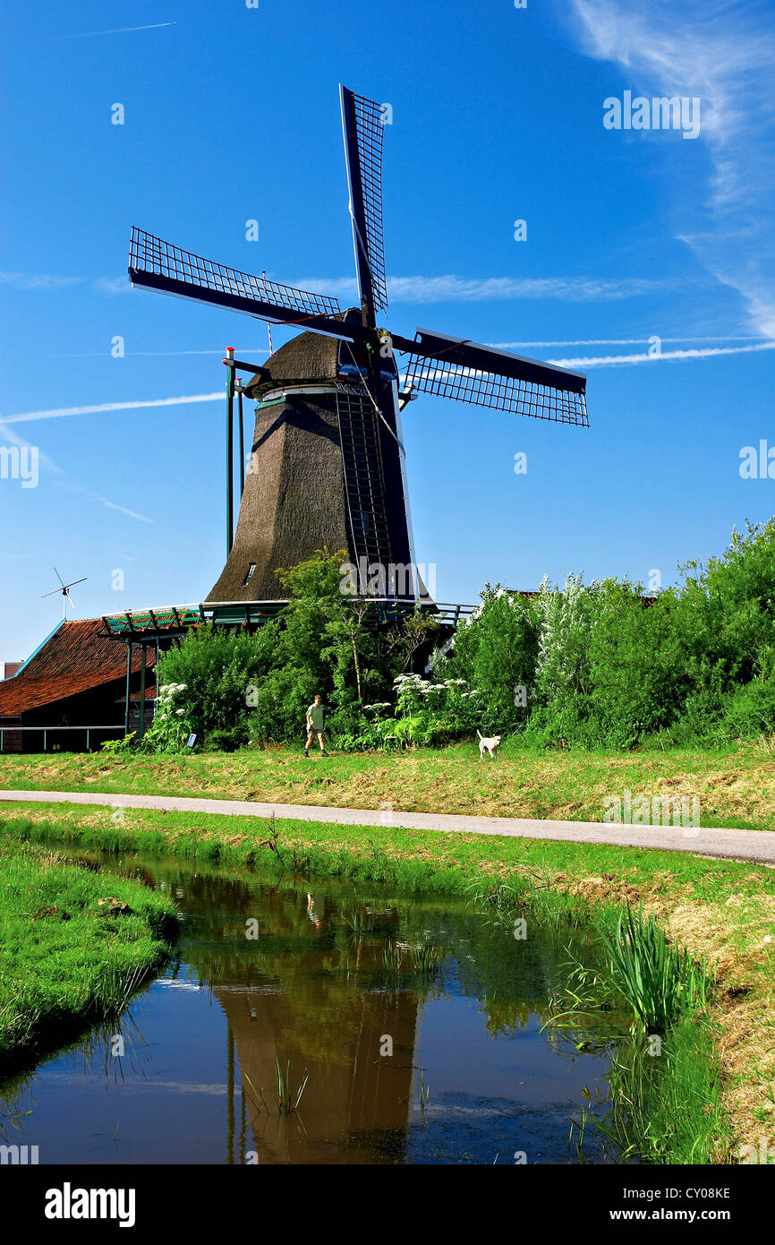 Pays Bas, Hollande du Nord, Zaanstad, Zaanse Schans, moulins à vent, les parcours le long du canal. Banque D'Images