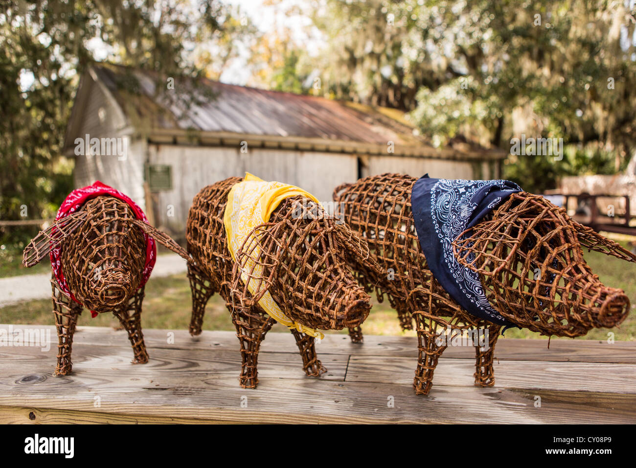 Les porcs et de décoration ancien hangar à corne Miel Plantation sur l'île de Hilton Head, SC Banque D'Images