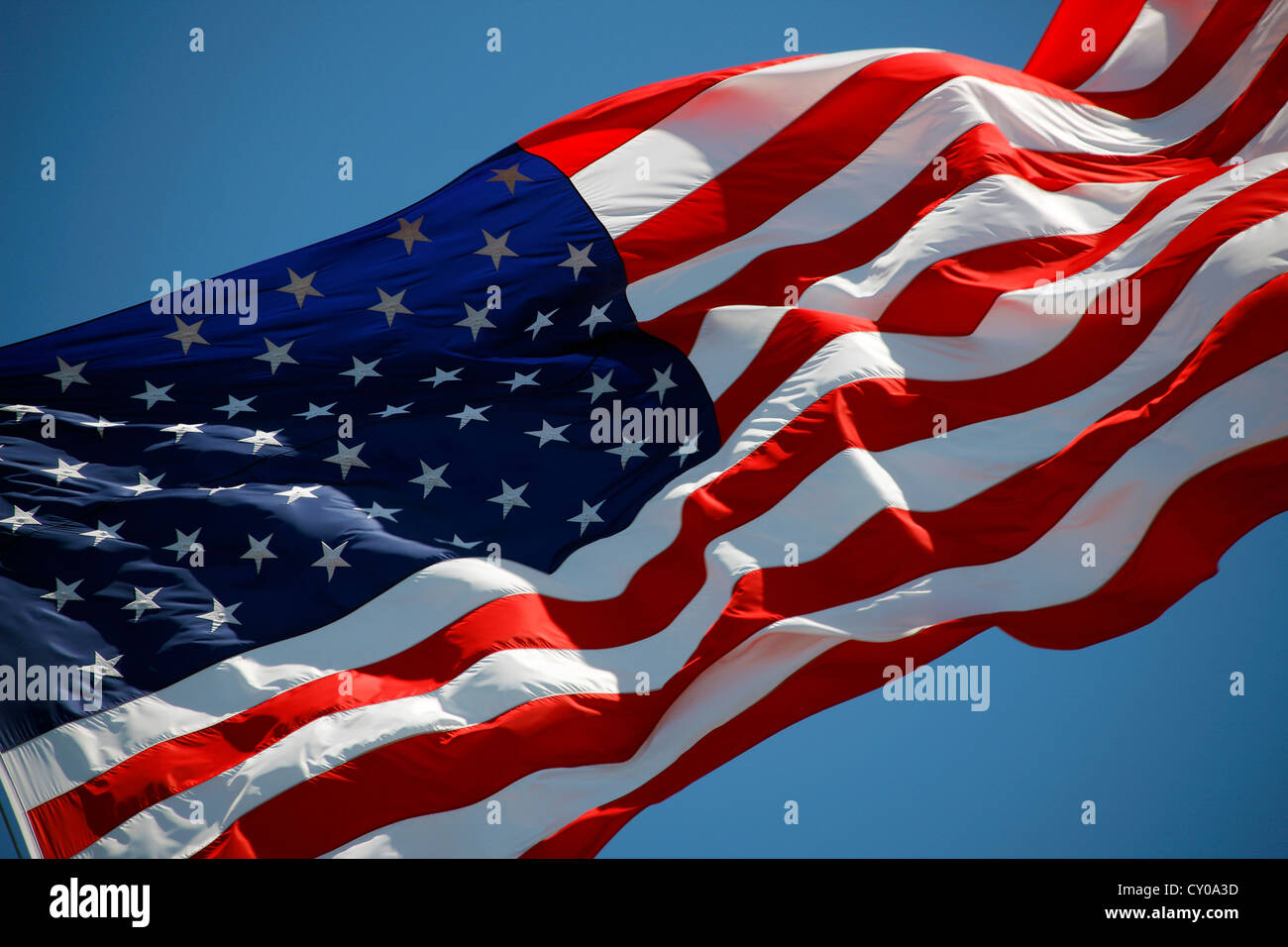 Brandissant le drapeau américain, Stars and Stripes, United States Banque D'Images