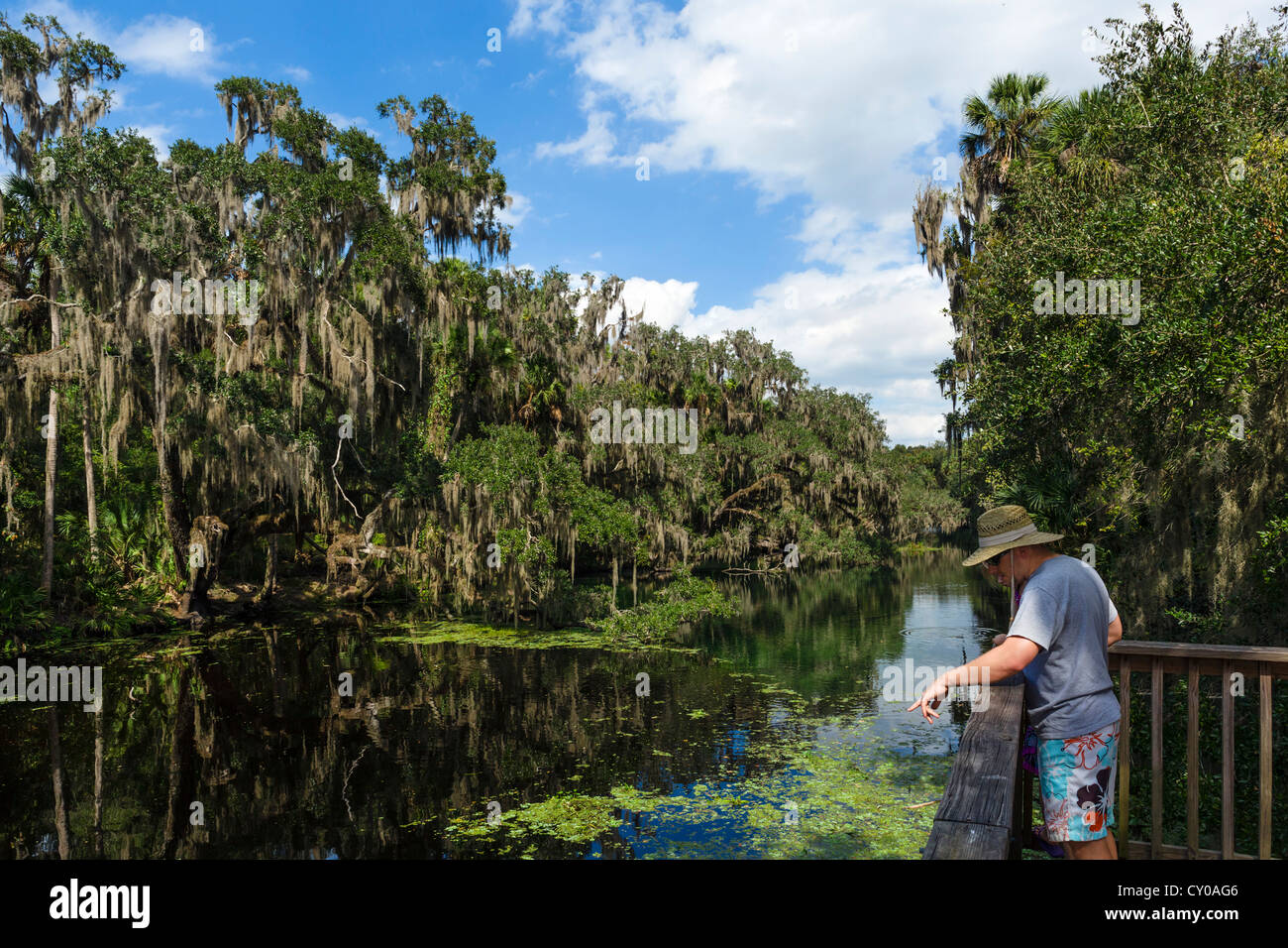 Zone d'affichage sur l'Blue Spring Run dans Blue Spring State Park, près de Orange City, Central Florida, USA Banque D'Images