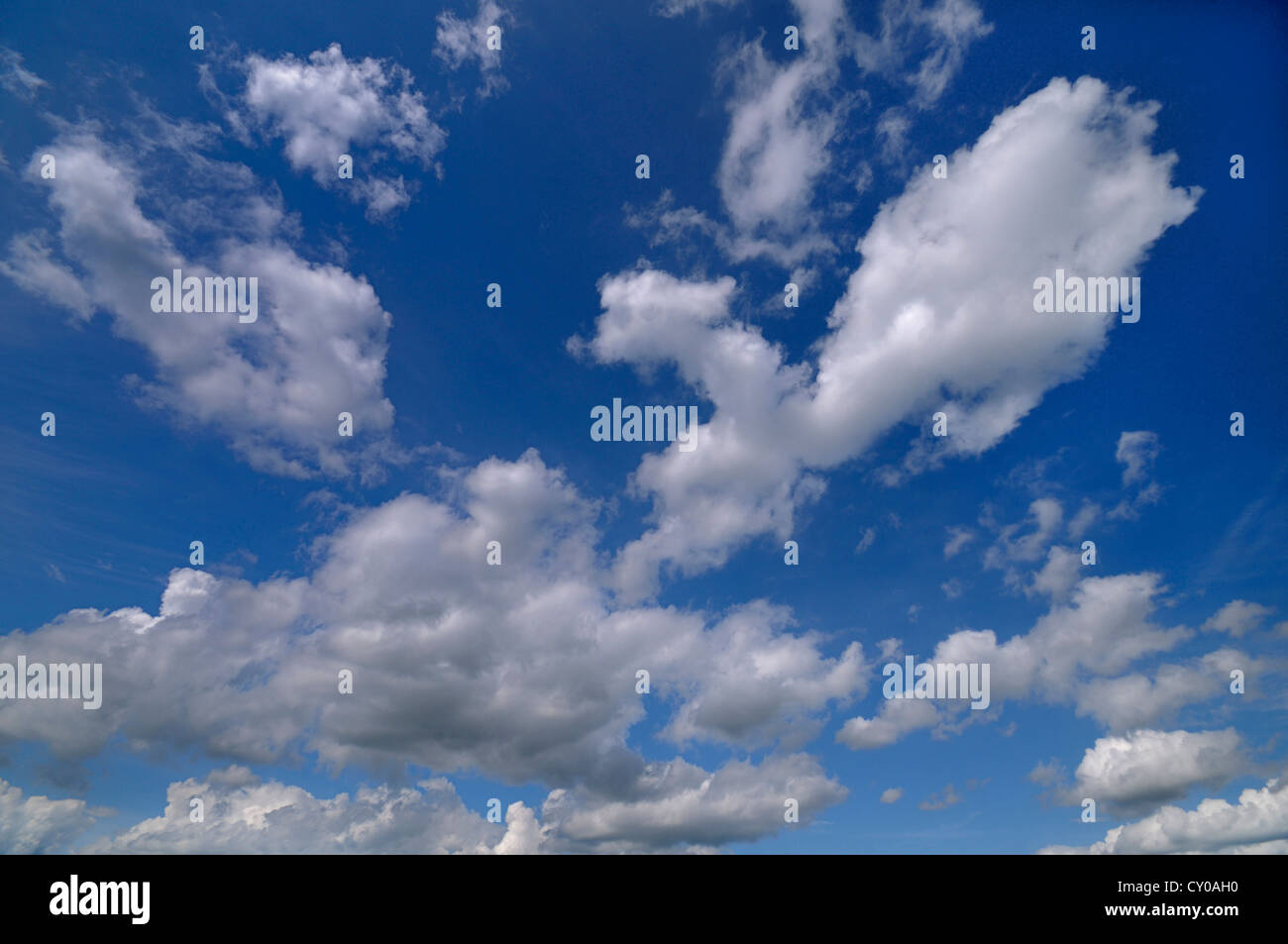 Les cumulus against a blue sky Banque D'Images