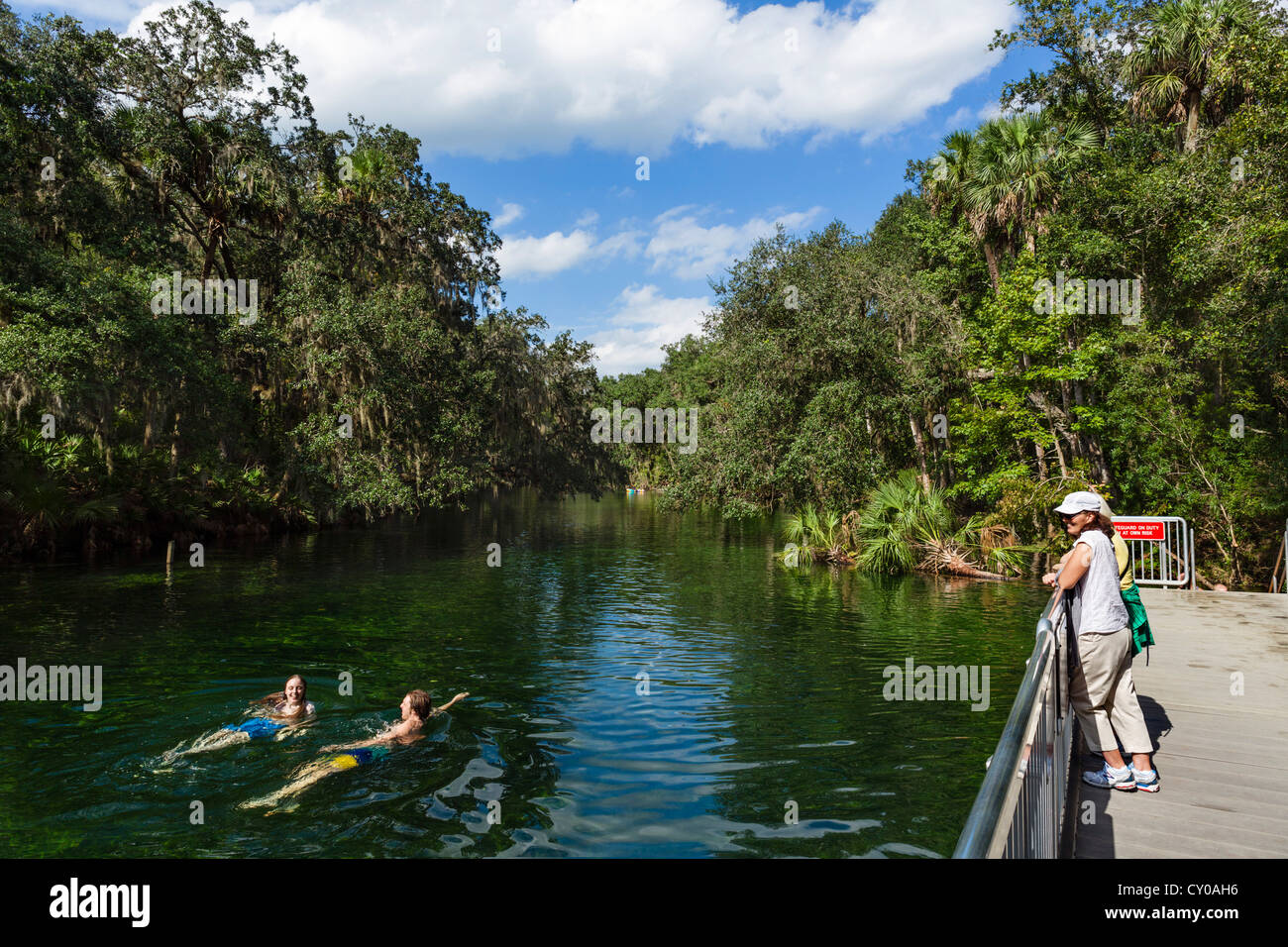 Sur l'aire de baignade Blue Spring Run dans Blue Spring State Park, près de Orange City, Central Florida, USA Banque D'Images