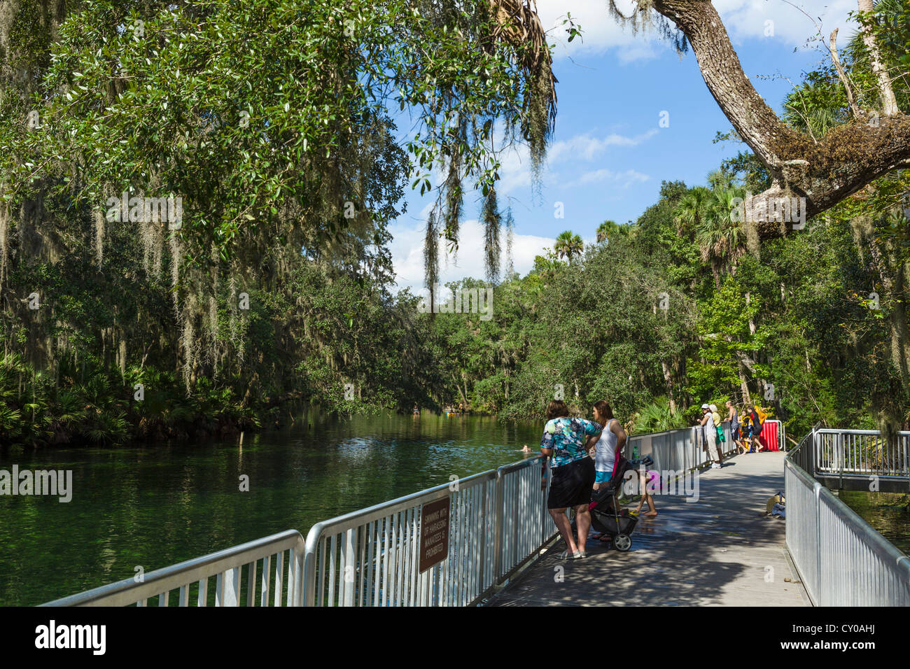 Sur l'aire de baignade Blue Spring Run dans Blue Spring State Park, près de Orange City, Central Florida, USA Banque D'Images