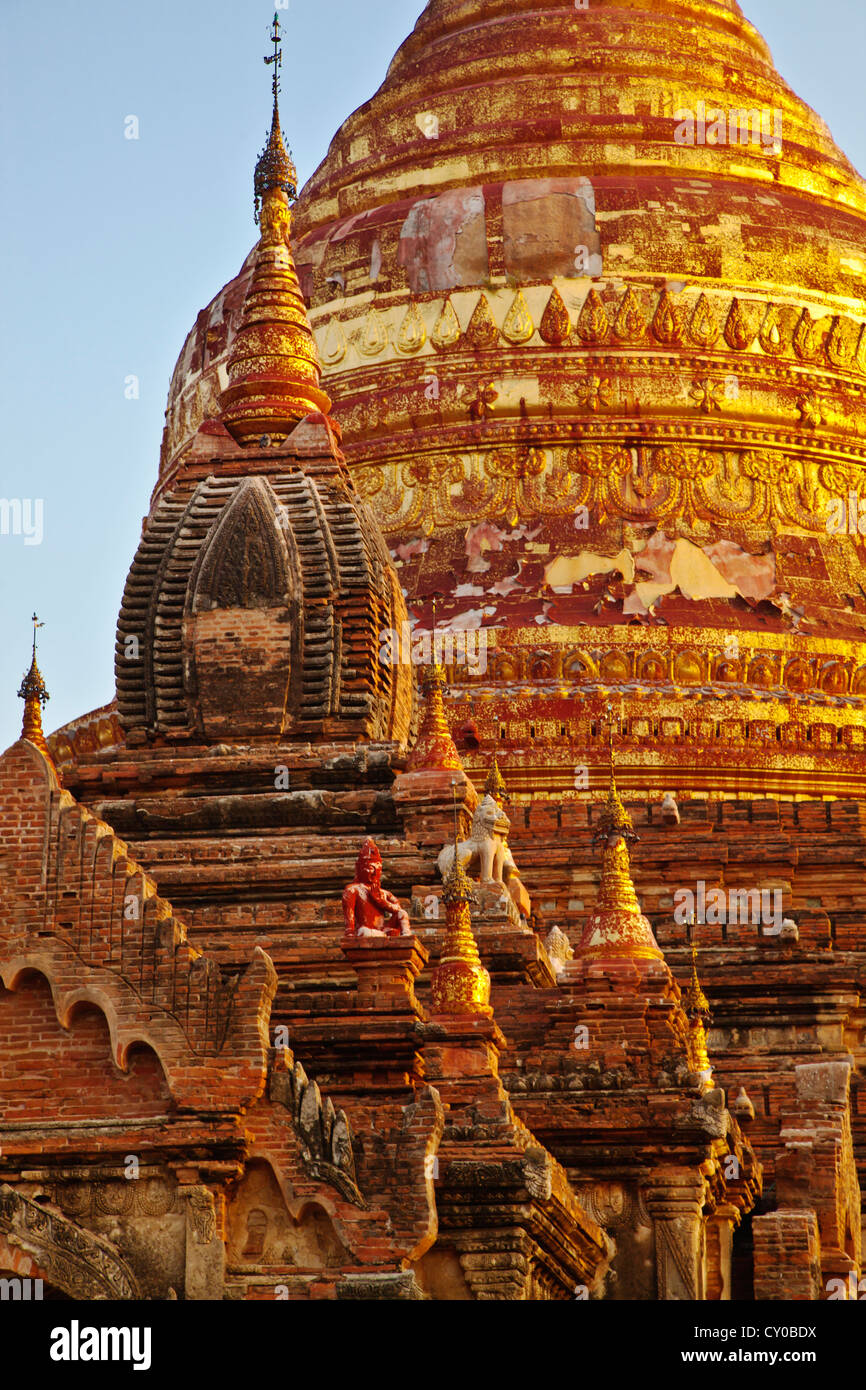 La pagode DHAMMAYAZIKA est doré en forme de cloche et achevé en 1196 AD par Narapatisithu - BAGAN, MYANMAR Banque D'Images