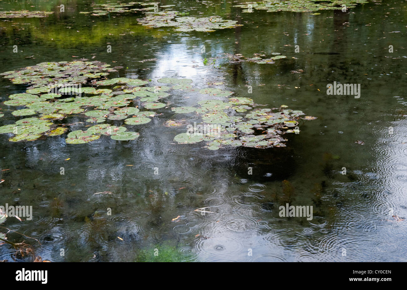 Étang aux Nymphéas de Claude Monet à Giverny France Banque D'Images