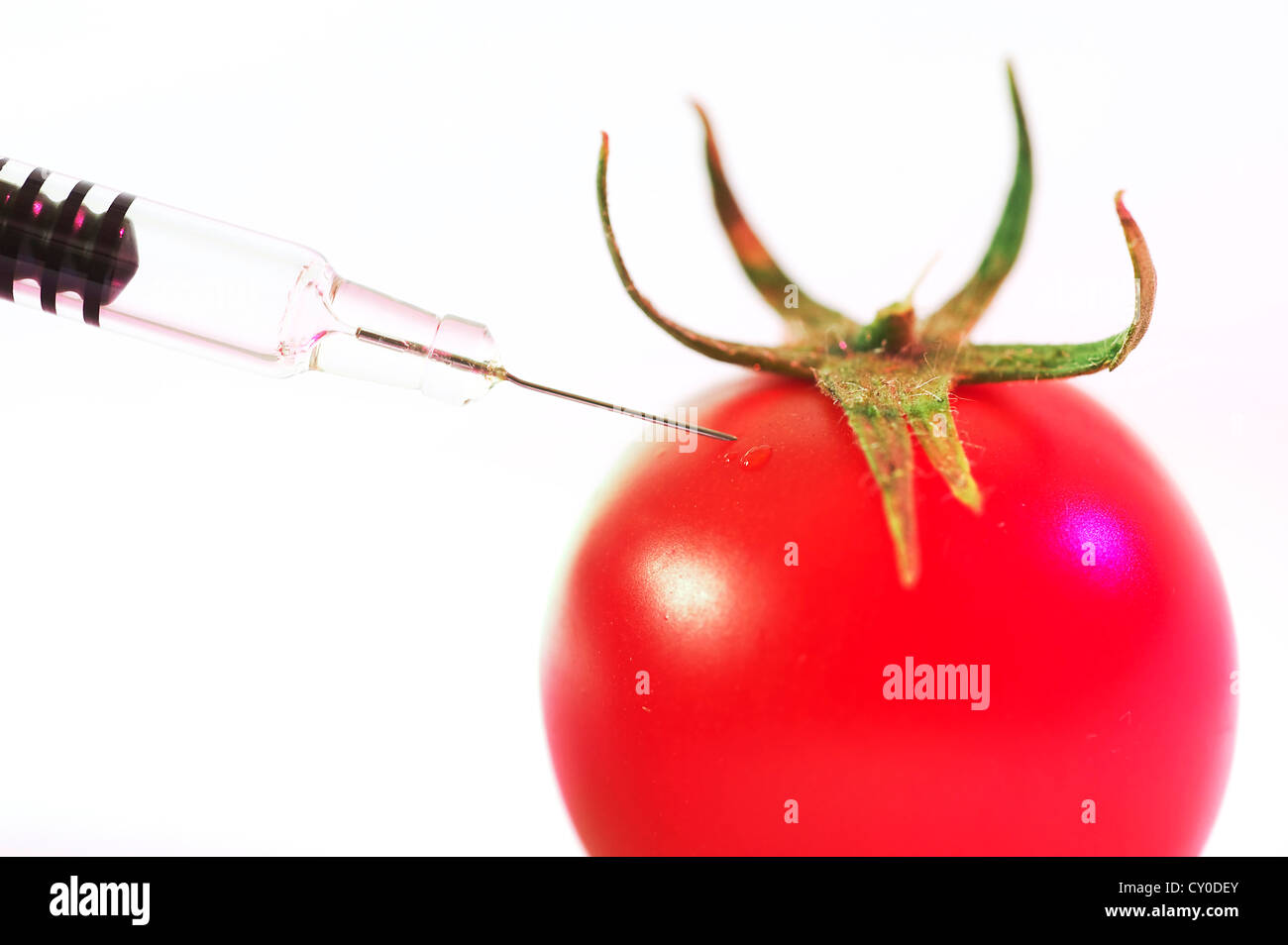 Close up d'une aiguille injectant une tomate GM Banque D'Images