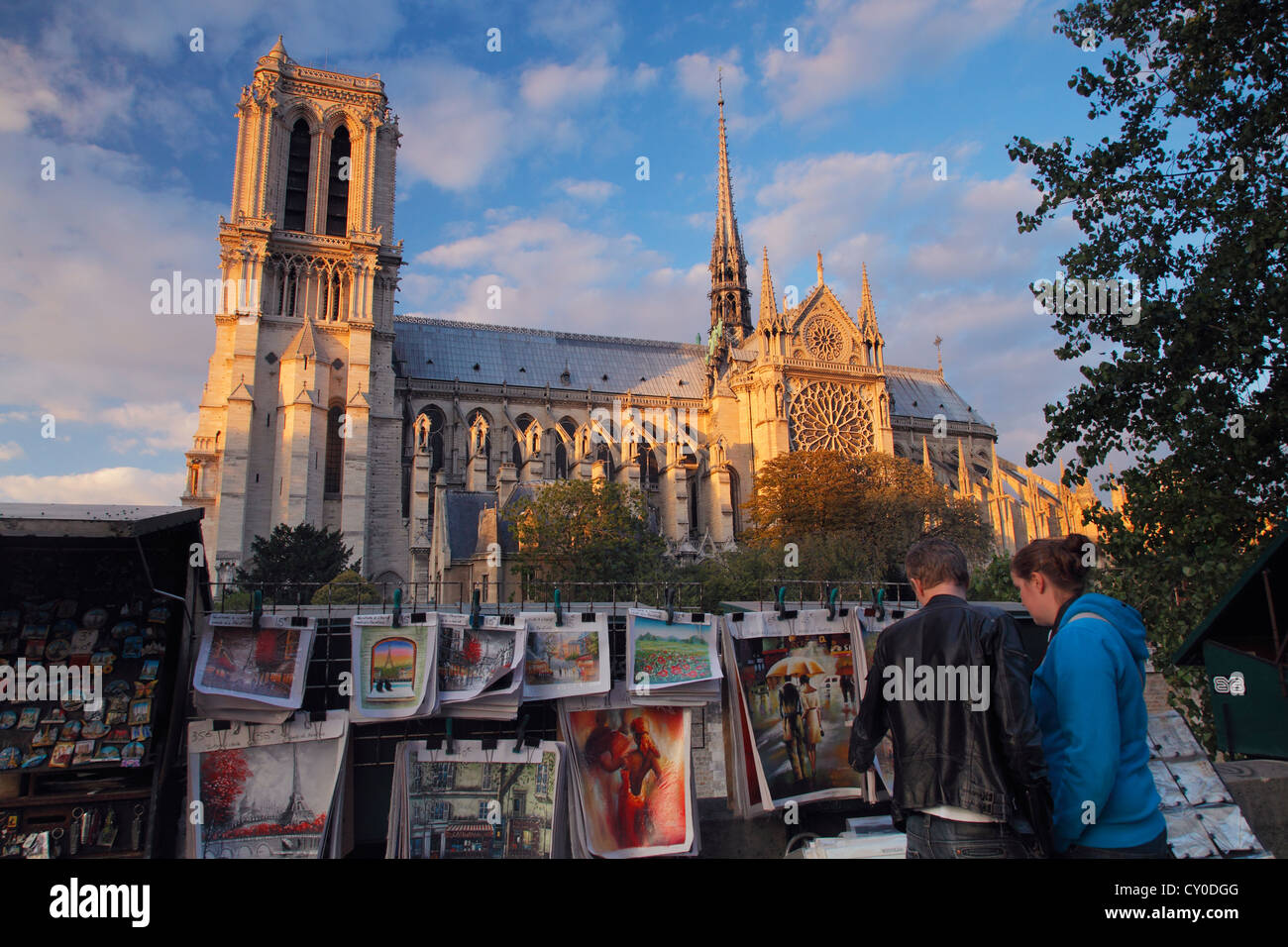 Notre Dame de Paris, la cathédrale Notre-Dame de Paris Banque D'Images