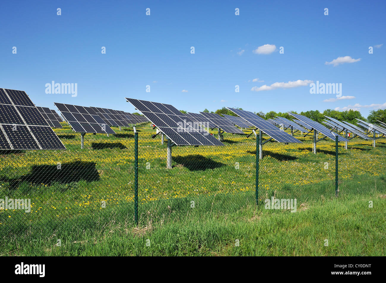 Clôturé, grande installation photovoltaïque sur une prairie en fleurs, Oberruesselbach, Haute-Franconie, Bavière Banque D'Images