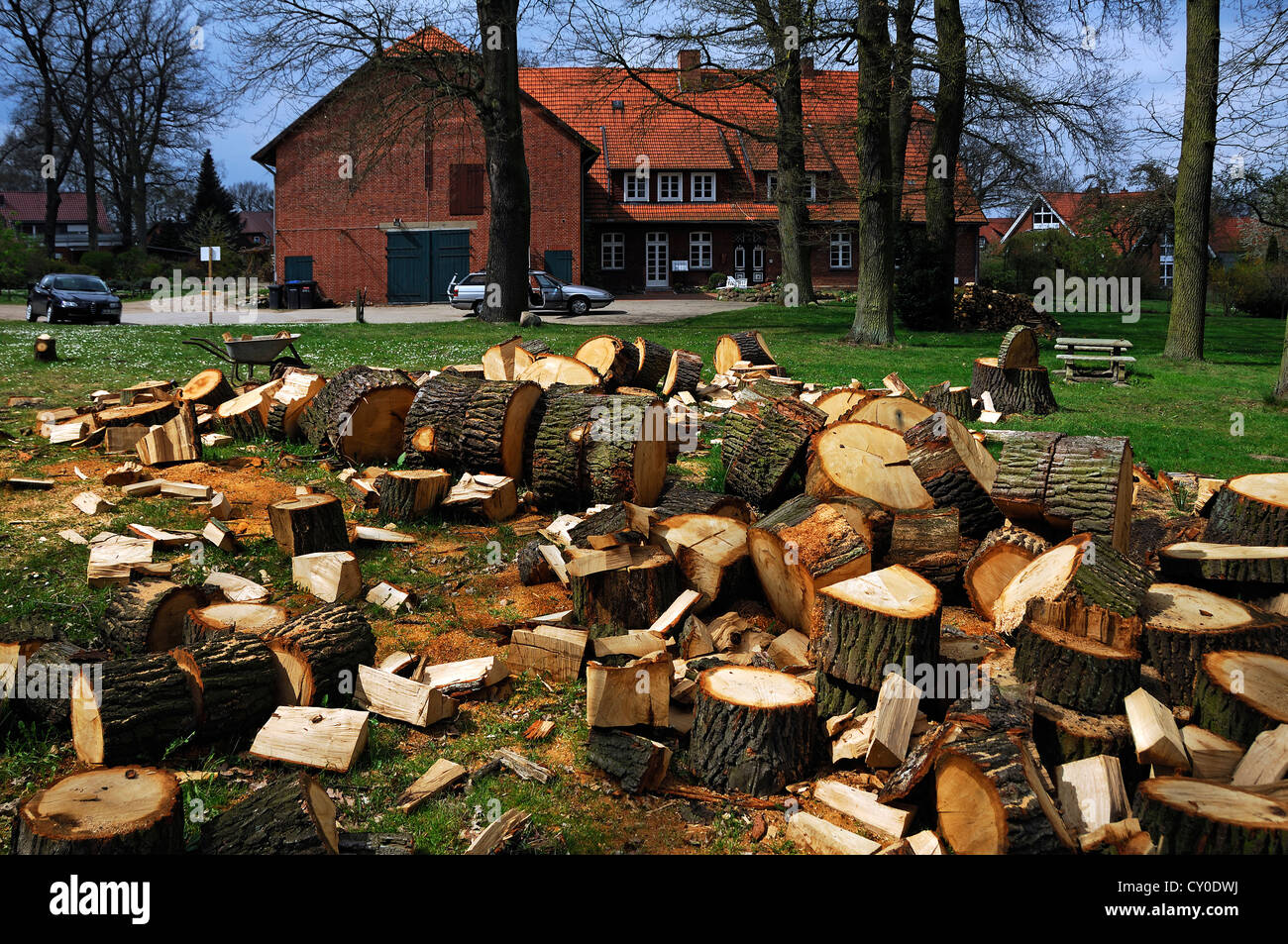 Tronc d'un chêne 38en segments dans un jardin, journaux empilés à l'arrière, Voegelsen, Basse-Saxe Banque D'Images