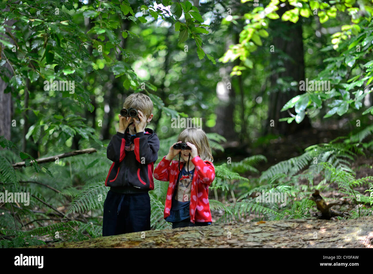 Jeune garçon et fille )frère et soeur) L'observation des oiseaux dans les bois en été publié le modèle de Norfolk Banque D'Images