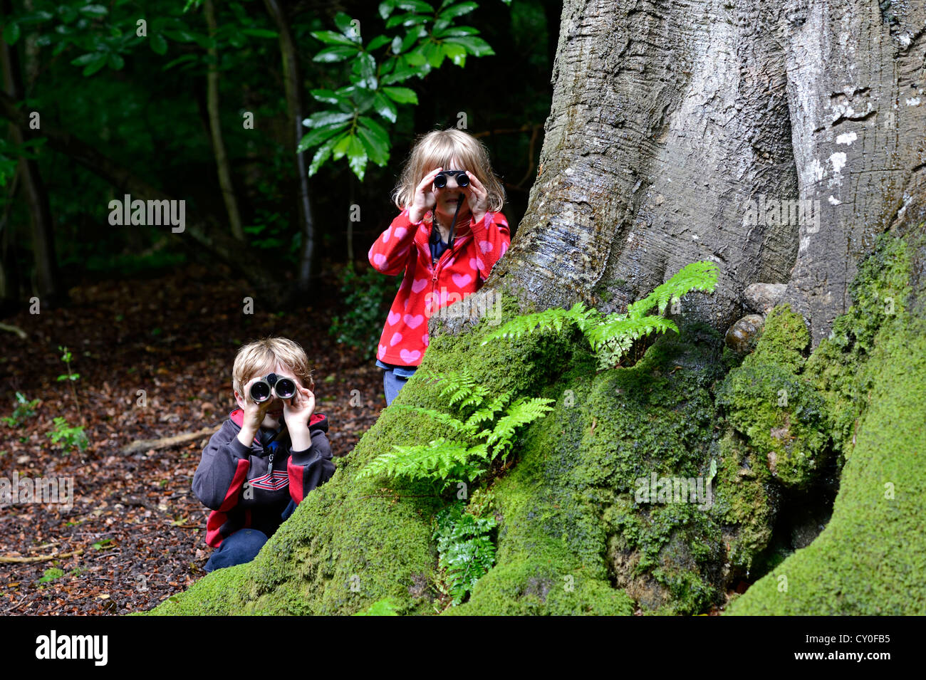 Jeune garçon et fille )frère et soeur) L'observation des oiseaux dans les bois en été publié le modèle de Norfolk Banque D'Images