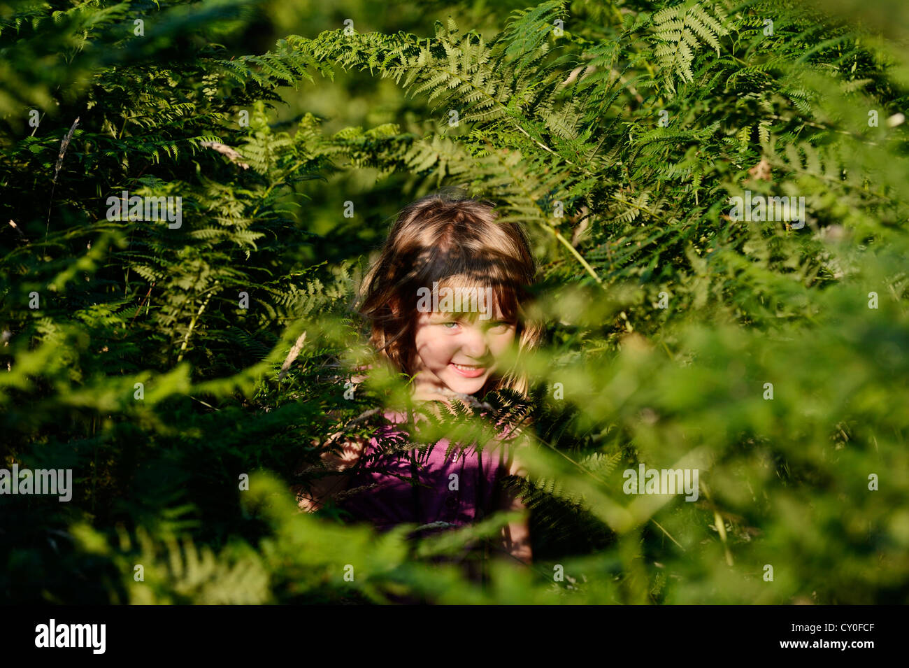 Jeune fille peeping parmi les fougères sur heath en été Norfolk Banque D'Images