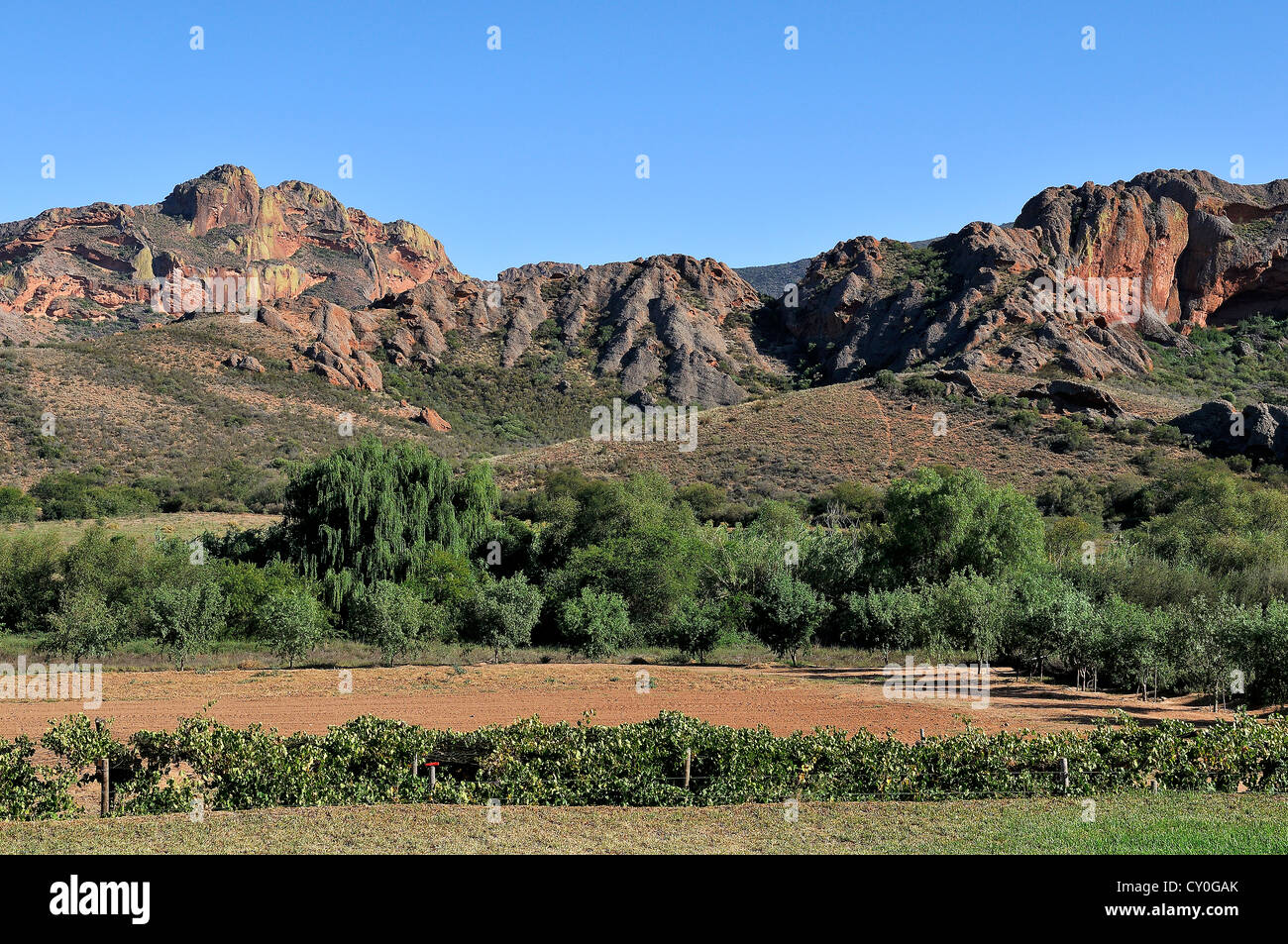 Paysage d'Afrique du Sud Banque D'Images