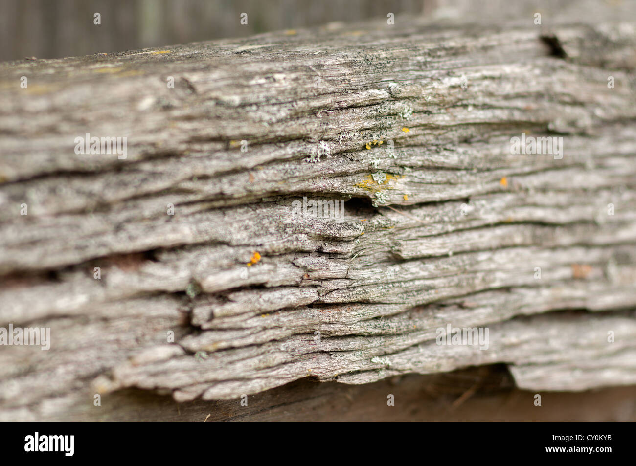 Close Up de texture en bois Banque D'Images