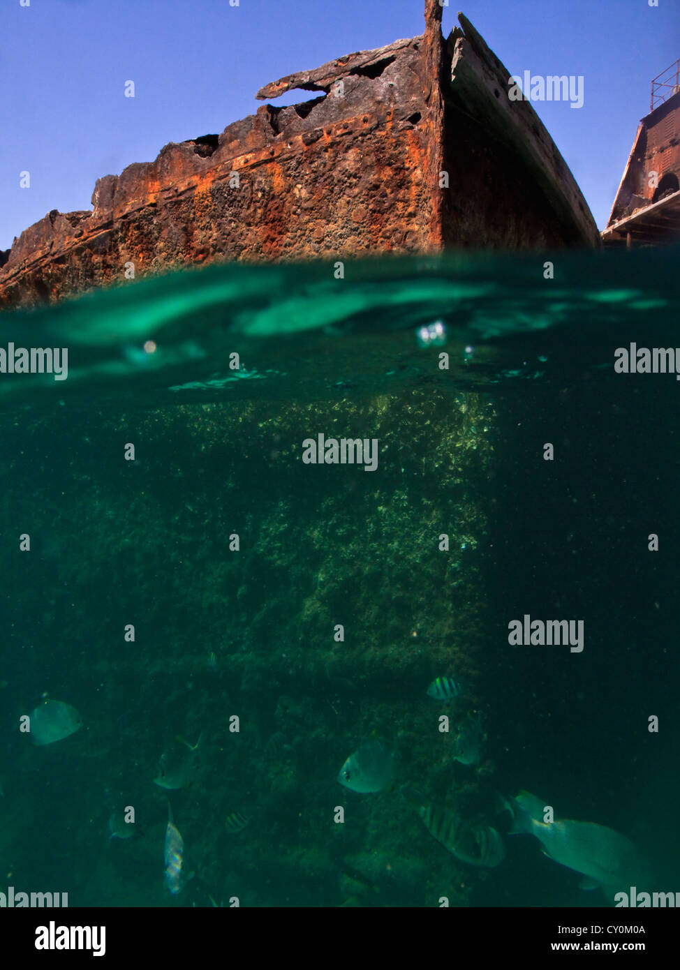 Carcasses rouillées de naufrages photographié au niveau de l'eau par l'île Moreton, plongeur à Moreton Bay en Australie Banque D'Images