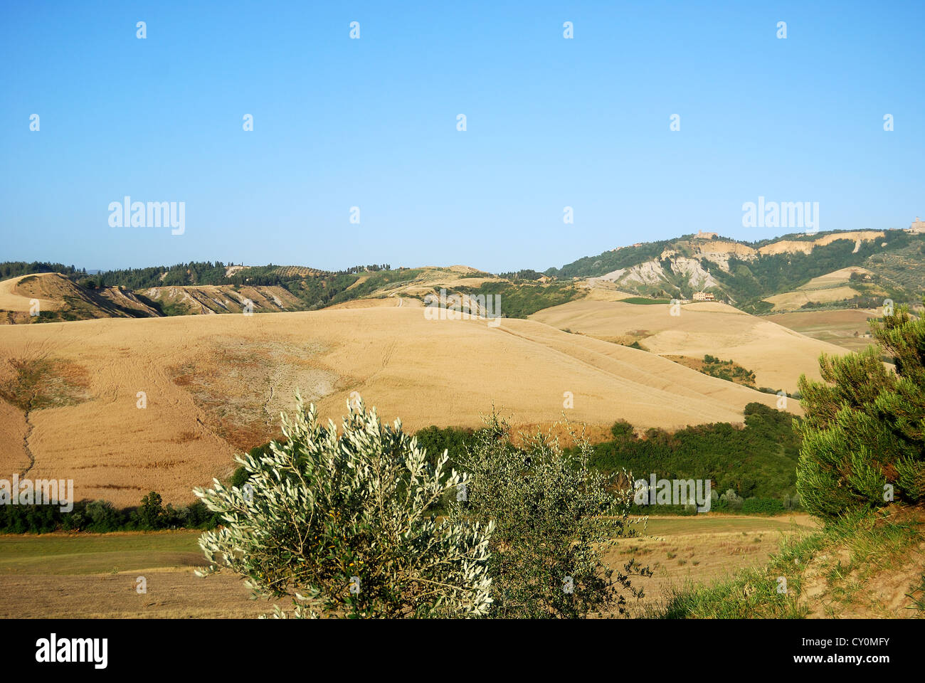 Paysage d'Afrique du Sud Banque D'Images