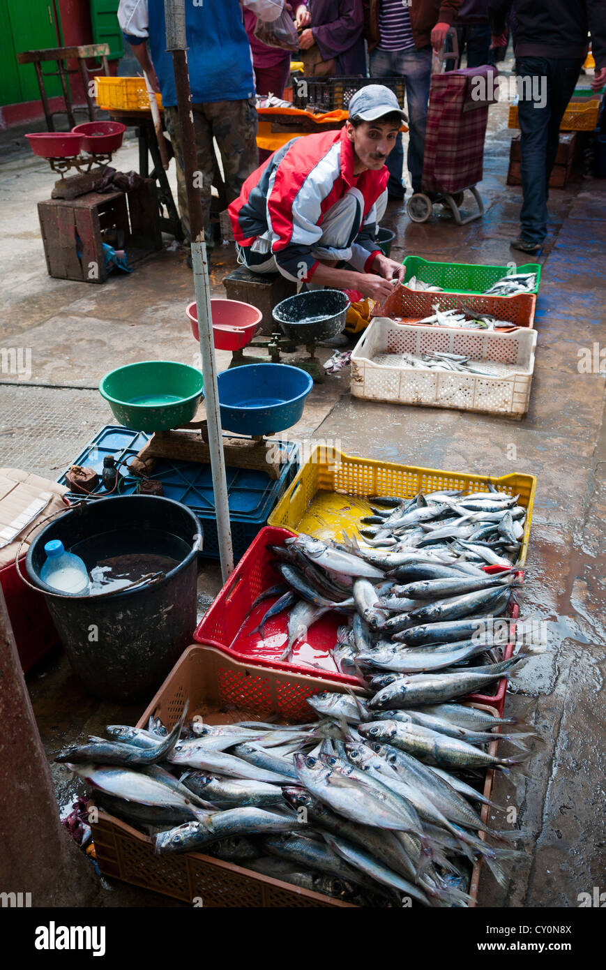 Vendeur de poisson, la rue du marché, Medina, Tétouan, UNESCO World Heritage Site, Maroc, Afrique du Nord, Afrique Banque D'Images