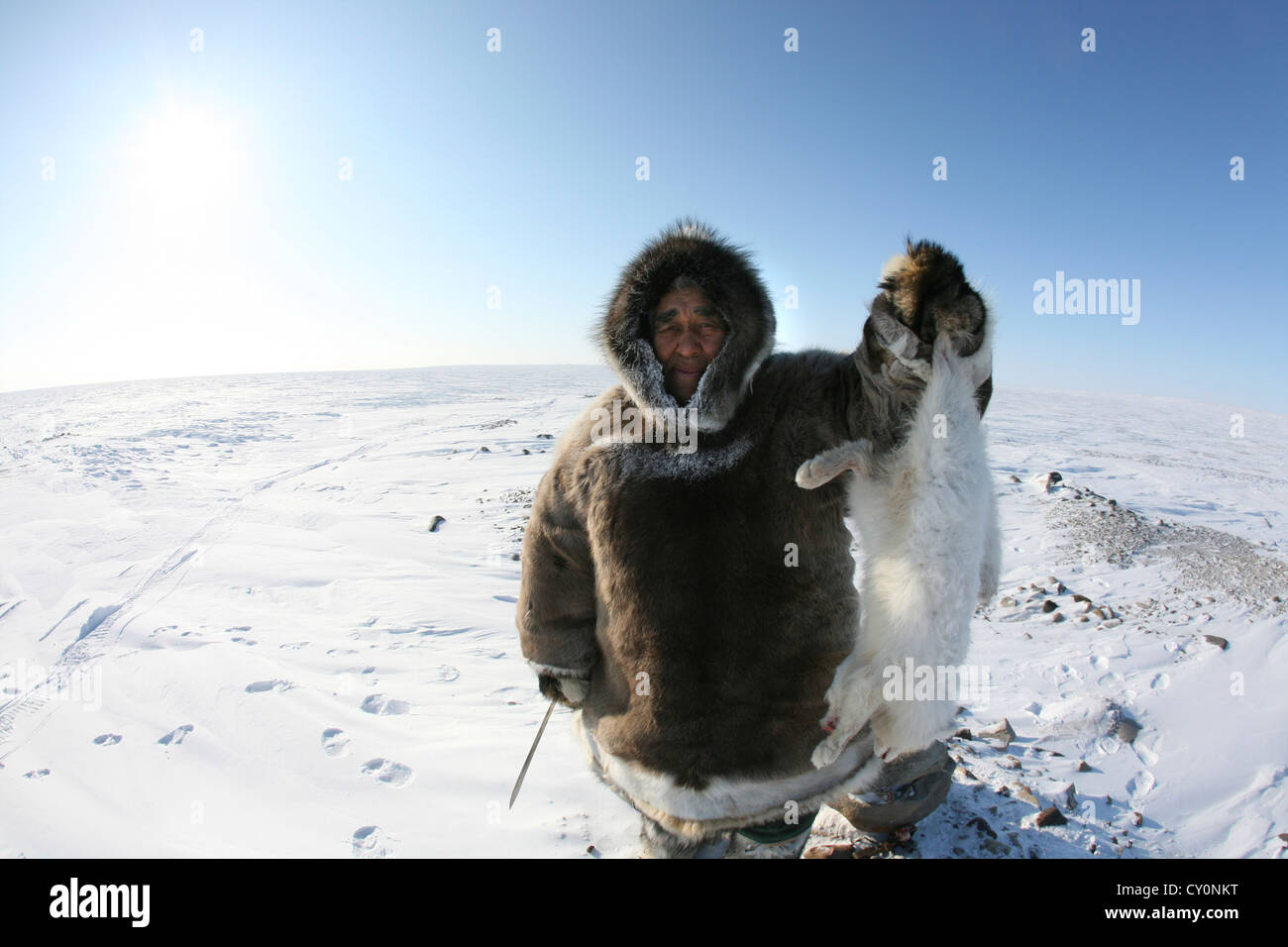 Les Inuits sont la chasse sur l'northpole Banque D'Images