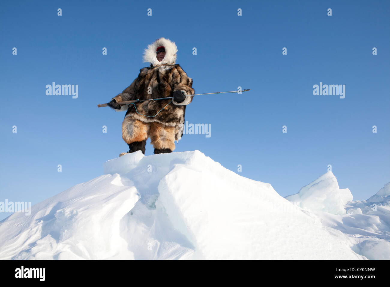 Les Inuits sont la chasse sur l'northpole Banque D'Images