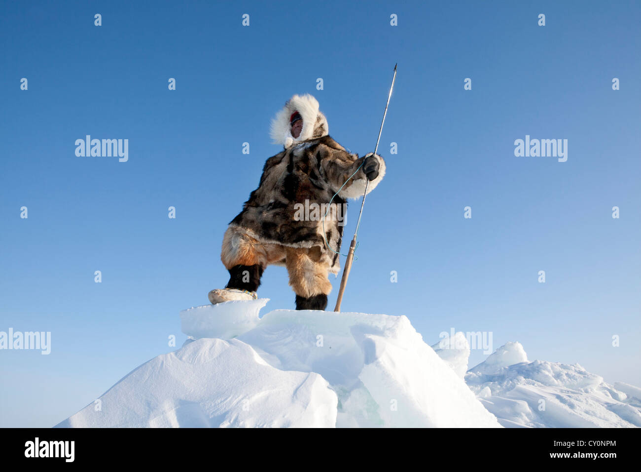 Les Inuits sont la chasse sur l'northpole Banque D'Images