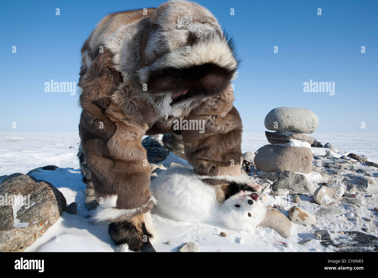 Les Inuits sont la chasse sur l'northpole Banque D'Images