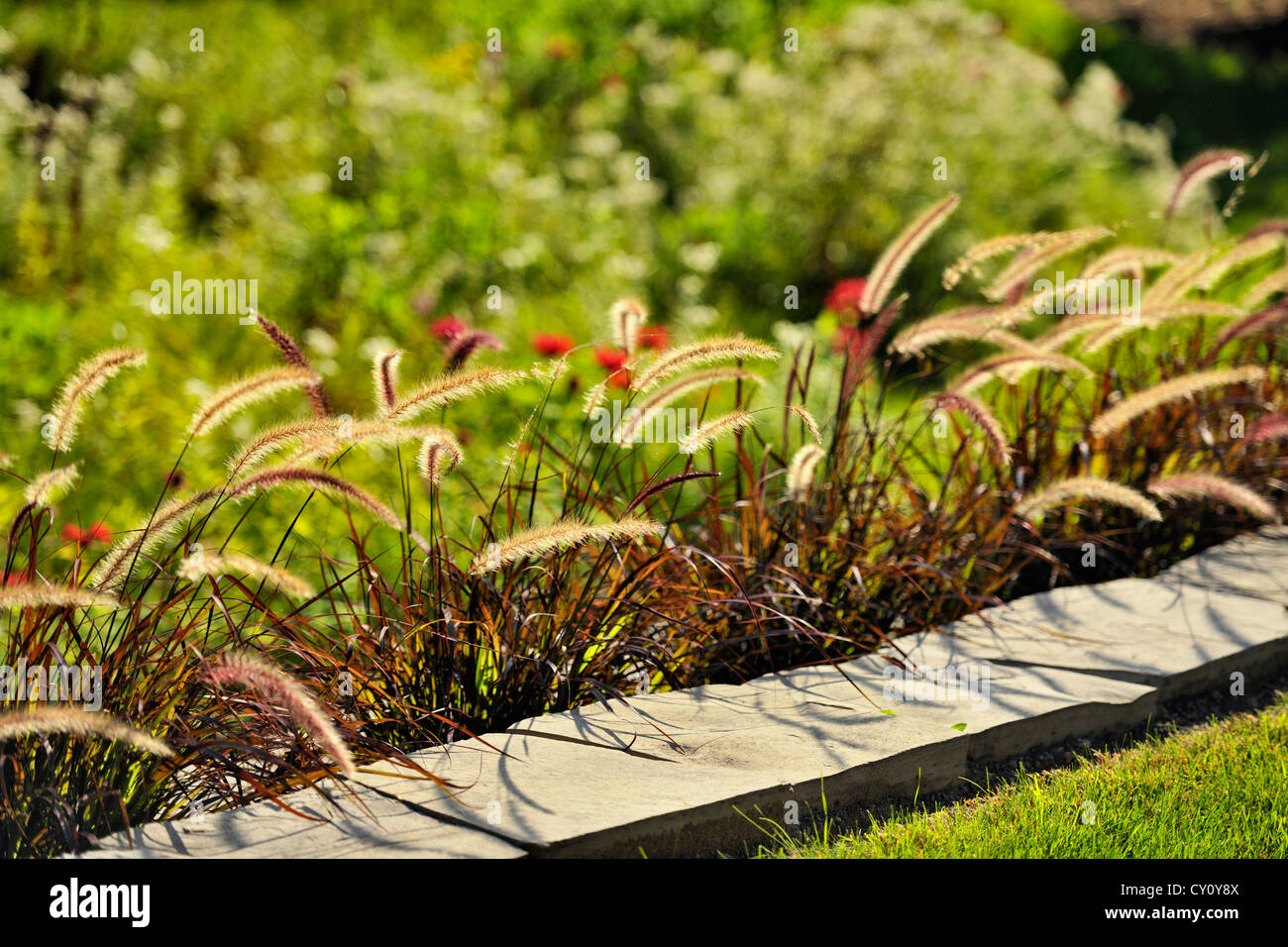 Jardin avec fontaine mur donnant sur les herbes de prairie naturalisés, Grand Sudbury, Ontario, Canada Banque D'Images