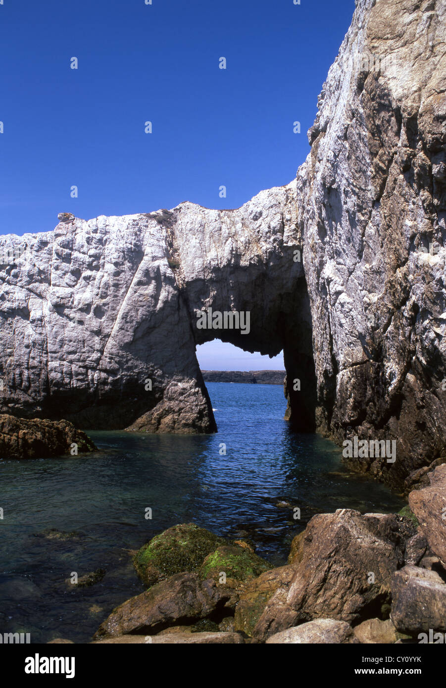 Gwyn Bwa naturel blanc rock sea arch sur la côte près de l'île Saint Rhoscolyn Ynys Gybi Isle of Anglesey au nord du Pays de Galles UK Banque D'Images