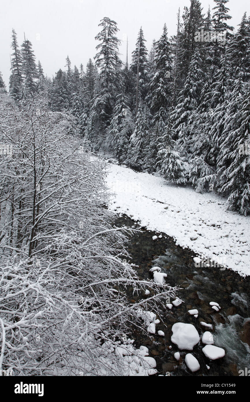 South Fork Snoqualmie River couvert de neige en hiver, Bandera, Washington, USA Banque D'Images