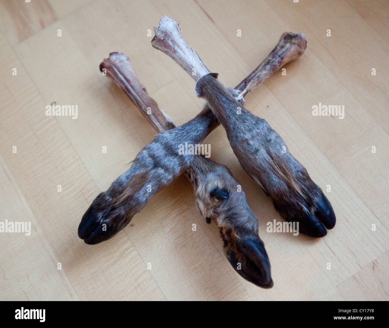 Les jambes de rennes sont des jouets pour les enfants en Finlande Banque D'Images