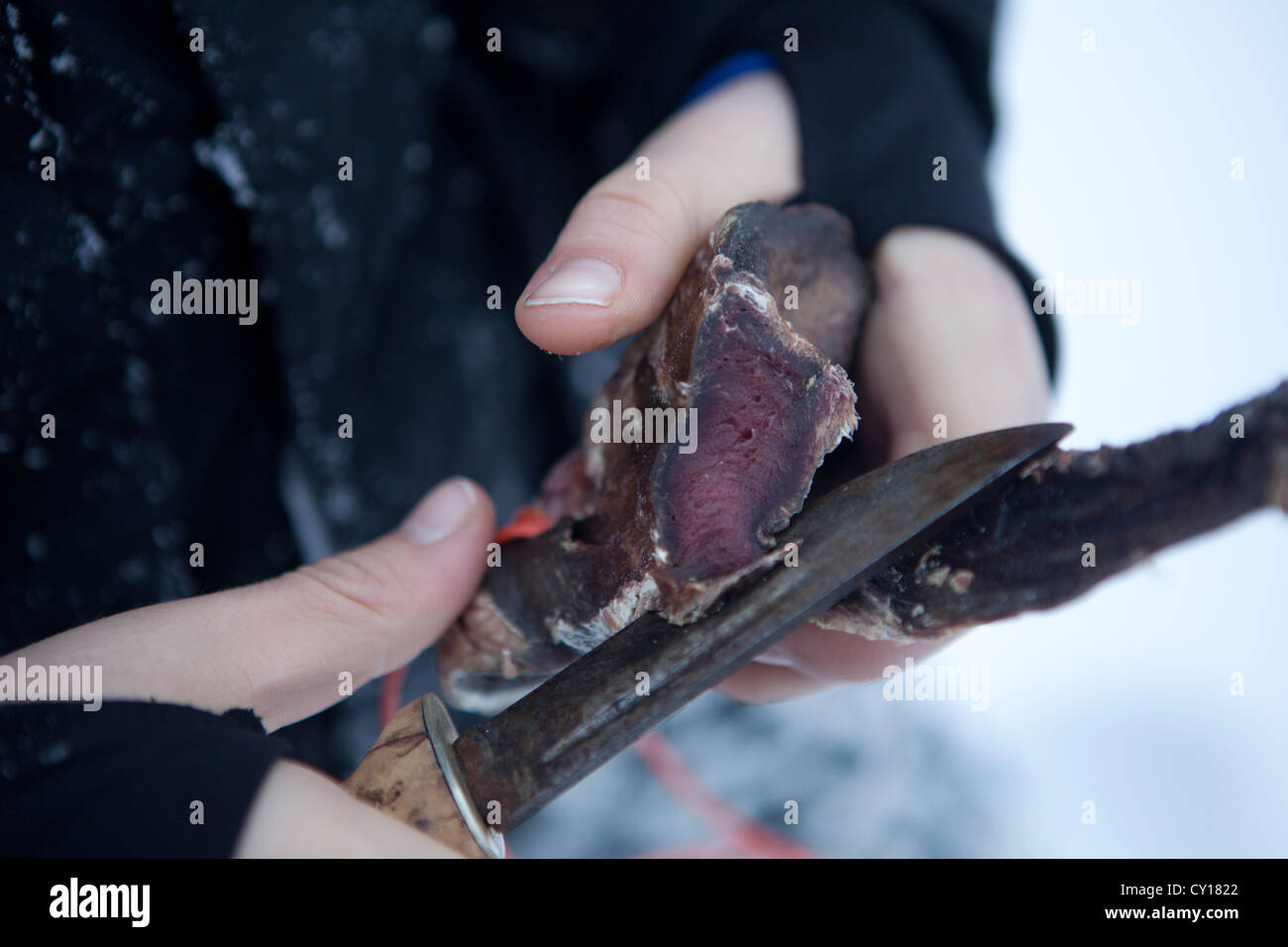 La viande de renne en collation en Finlande Banque D'Images