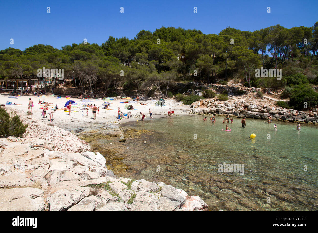 Baignade Plage personnes Cala Barca, Santanyi' District, côte est de la mer des Baléares Espagne Majorque Banque D'Images