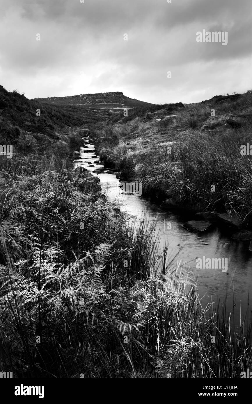 Un petit ruisseau qui coule à travers la campagne ouverte avec bracken à Burbage Brook, Peak District, Derbyshire, Angleterre Banque D'Images