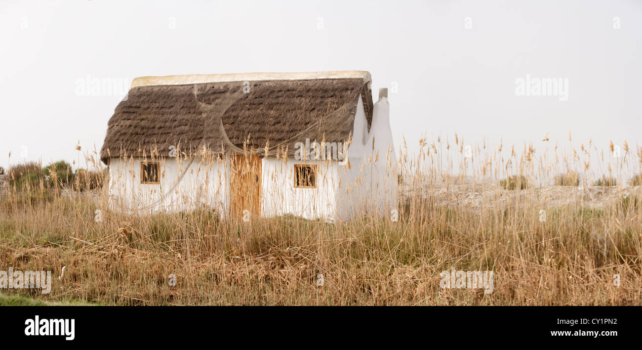 Pano de Hut, "Barraca" bâtiment typique en delta de l'Ebre, près d'un champ de riz en Riet Vell, Amposta, Delta de l'Ebre, Parc Naturel, Espagne Banque D'Images