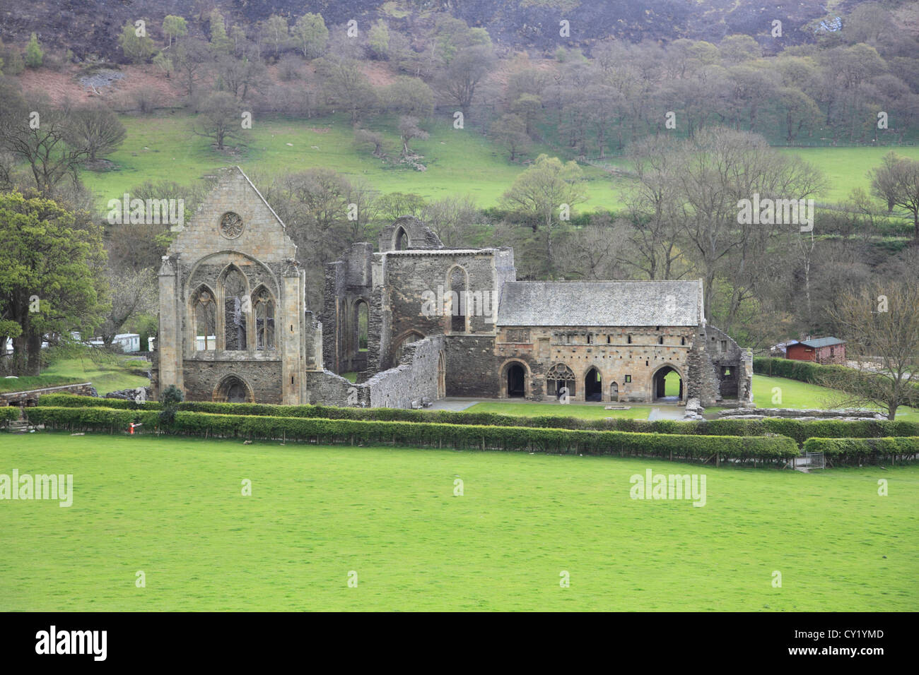 Abbaye Valle Crucis, vallée de la Croix, Llangollen, Denbighshire, Nord du Pays de Galles, Pays de Galles, Royaume-Uni Banque D'Images