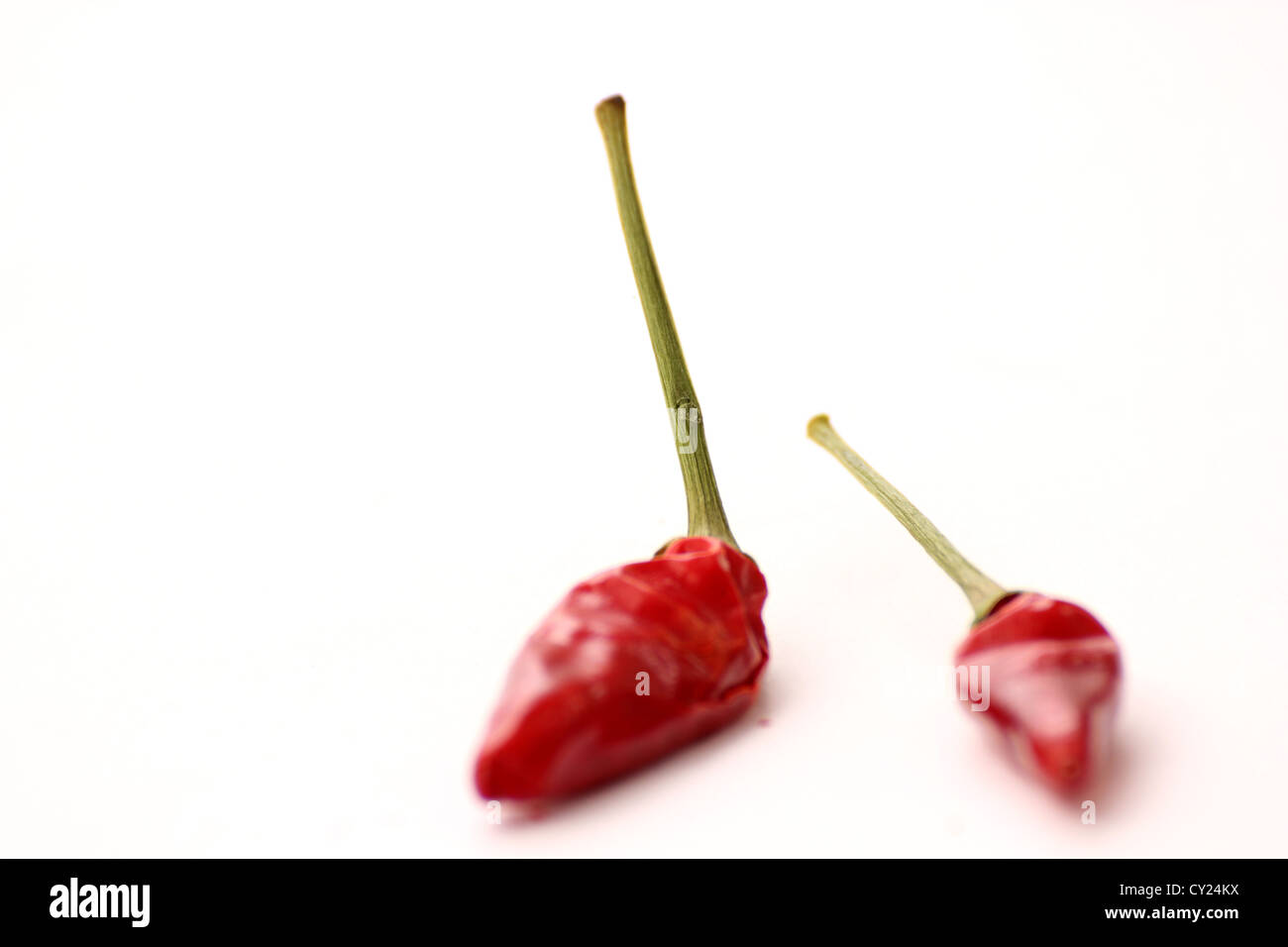 Une belle photo de petits piments rouges sur un fond blanc studio shot, photoarkive Banque D'Images