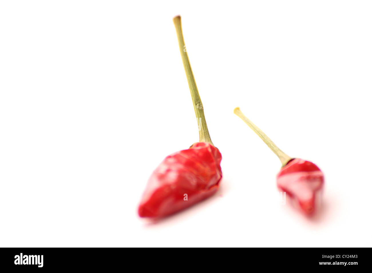Une belle photo de petits piments rouges sur un fond blanc studio shot, photoarkive Banque D'Images