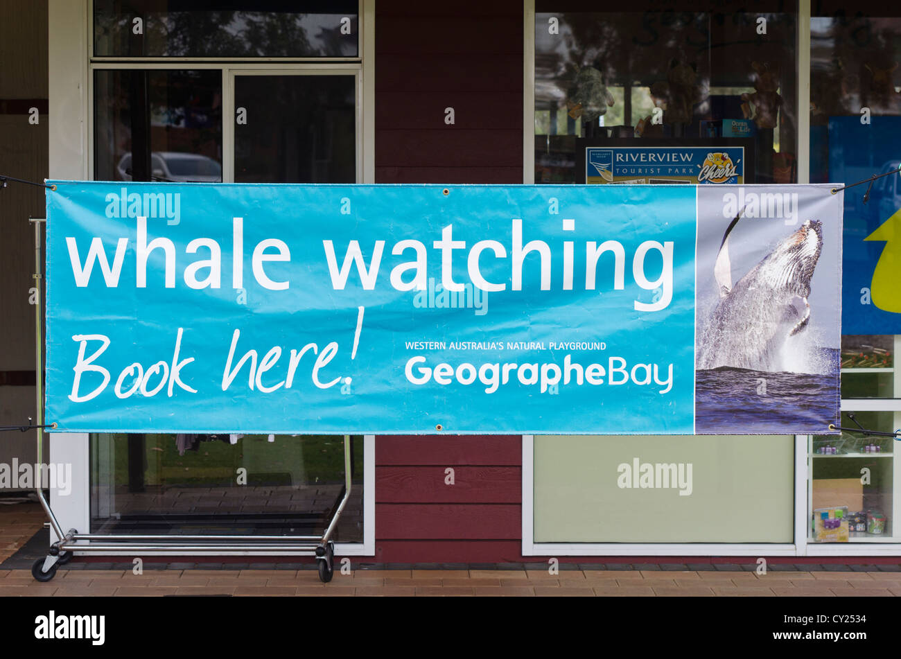 Signe de l'observation des baleines à l'extérieur de l'office du tourisme, la Pine, l'ouest de l'Australie Banque D'Images
