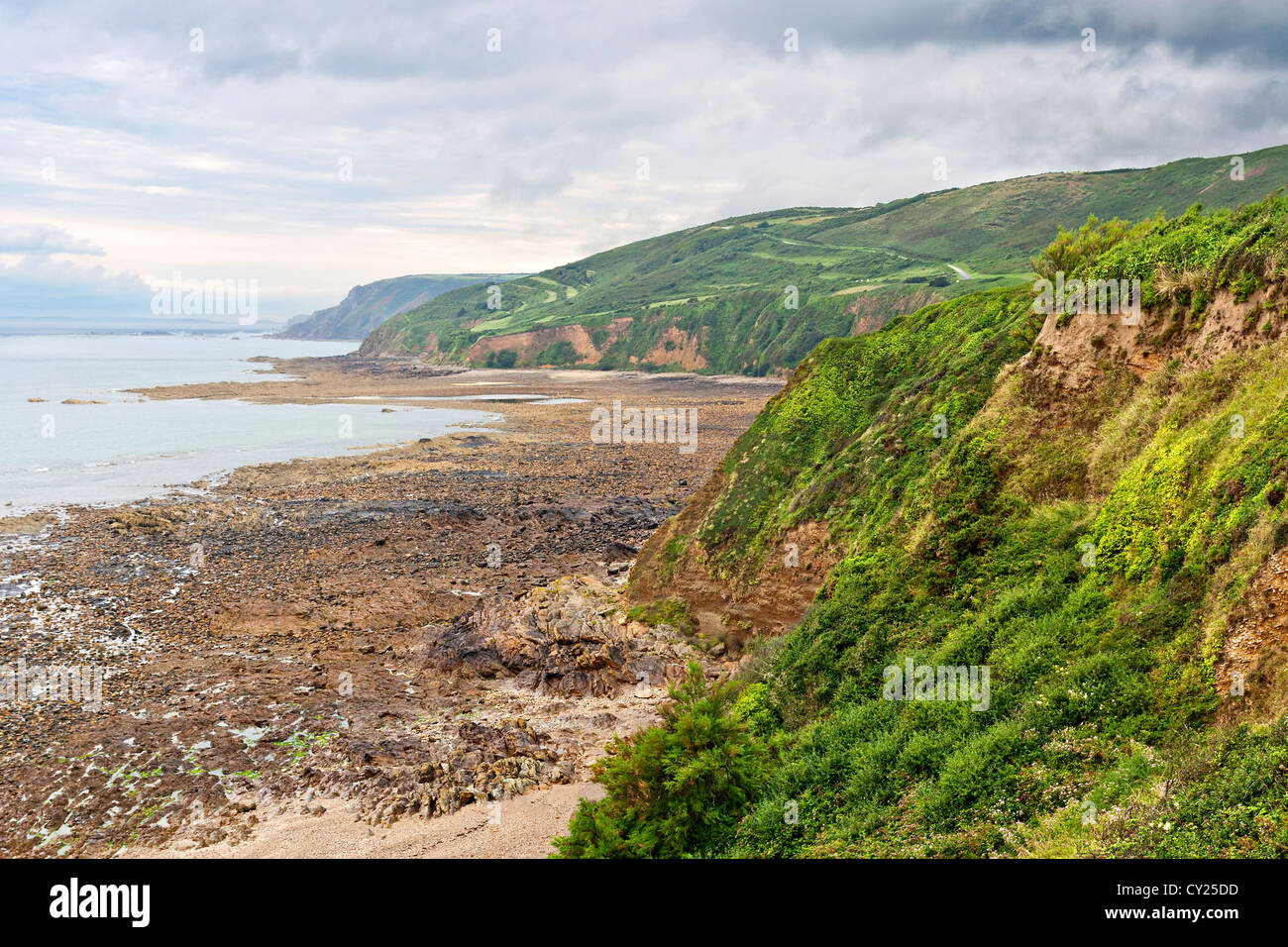 Paysage verdoyant sur la côte atlantique en Normandie, France Banque D'Images