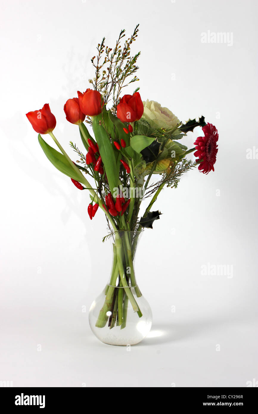 Belles fleurs rouges dans un vase en verre sur un fond blanc studio shot, encore - la vie, photoarkive Banque D'Images