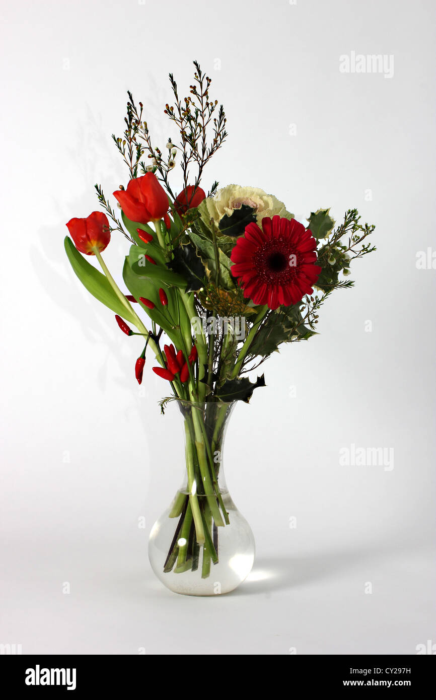 Belles fleurs rouges dans un vase en verre sur un fond blanc studio shot, encore - la vie, photoarkive Banque D'Images