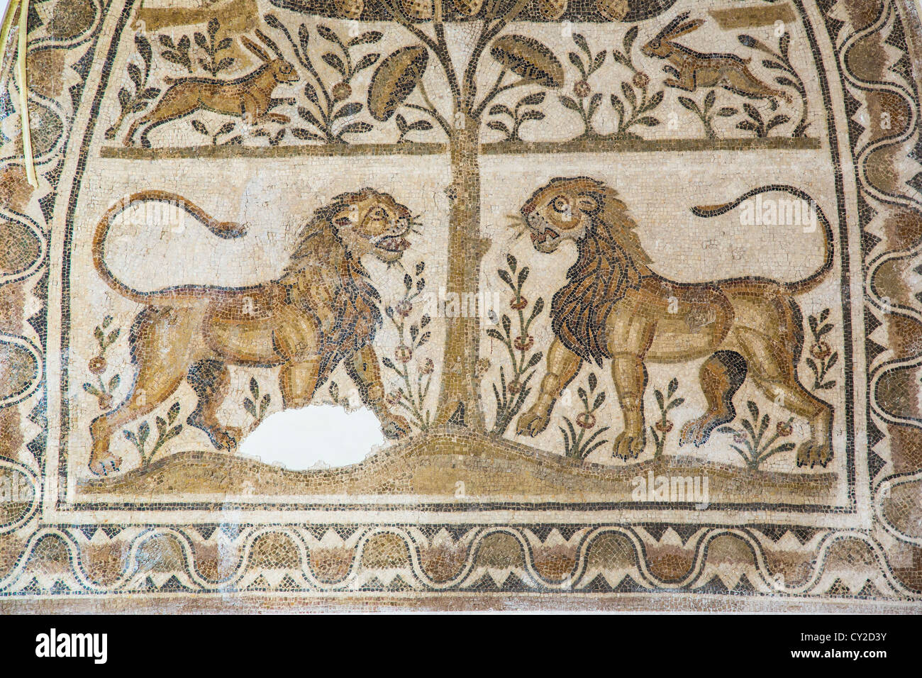 Mosaïque Mosaïque de lions au Musée du Bardo à Tunis Tunisie Banque D'Images