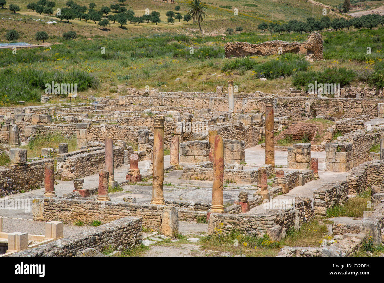 Ruines Romaines de Bulla Regia près de Jendouba Tunisie Banque D'Images