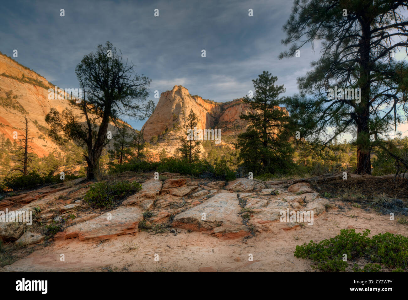 Zion National Park est situé dans le sud-ouest des États-Unis, près de Springdale, en Utah rock formations Banque D'Images