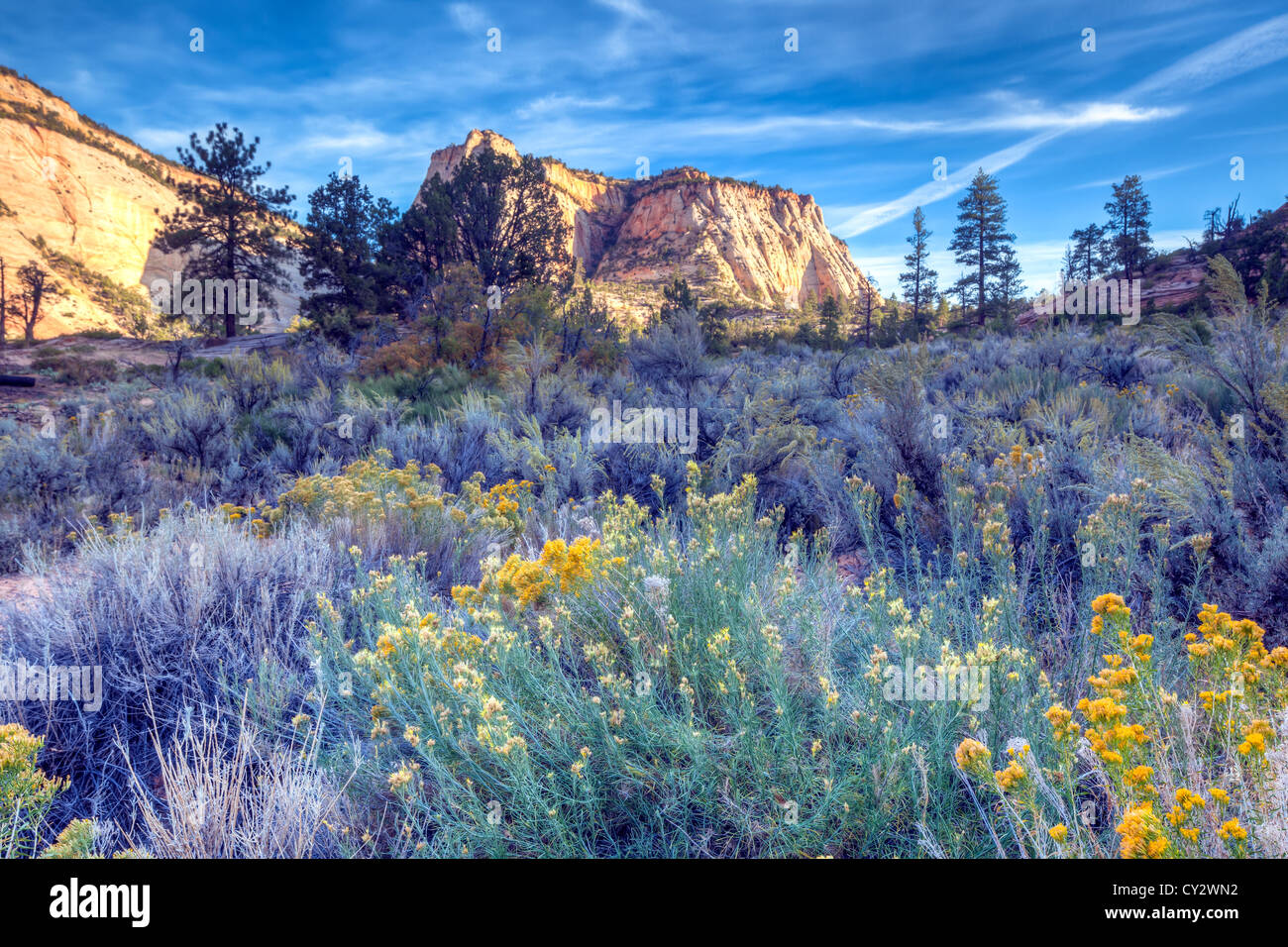 Zion National Park est situé dans le sud-ouest des États-Unis, près de Springdale, en Utah Banque D'Images