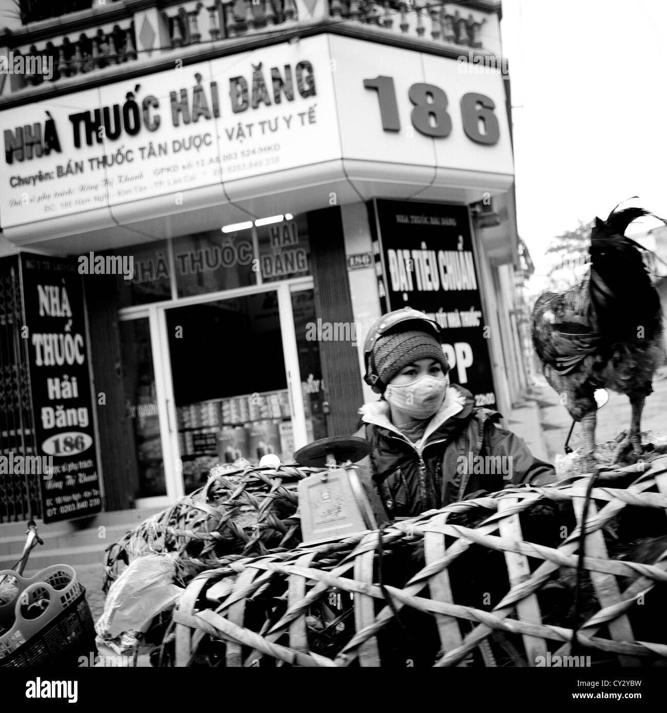 Femme avec un poulet sur sa moto, SAPA, Vietnam Banque D'Images