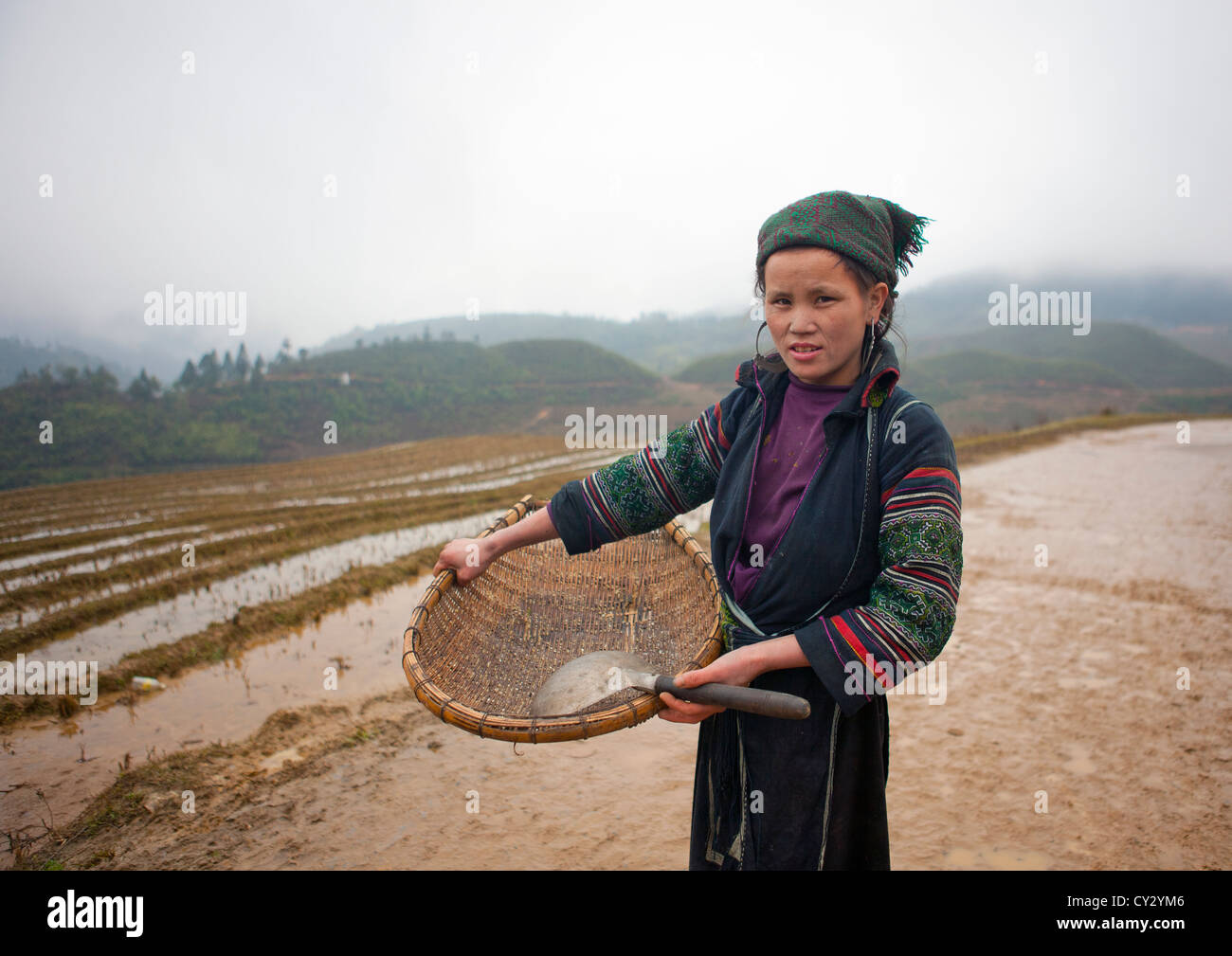 Femme Hmong noir montrant le riz qu'elle ramassait, SAPA, Vietnam Banque D'Images